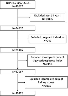 Higher Triglyceride–Glucose Index Is Associated With Increased Likelihood of Kidney Stones